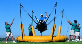 Bungee Bull Ride