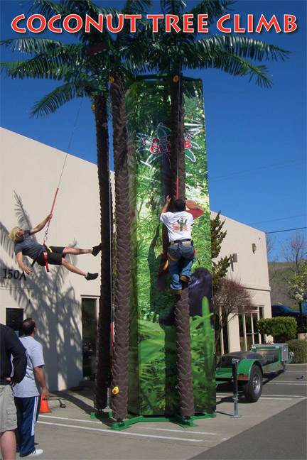 Coconut Tree Climber