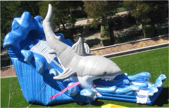 Shark Slide