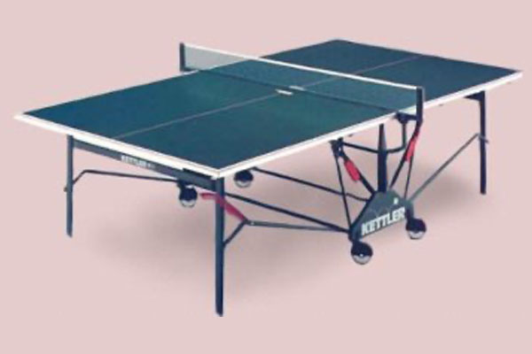 Ping Pong Table