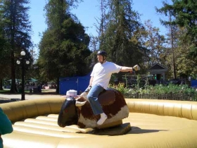 Mechanical Bull