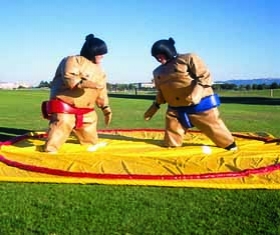 Sumo Wrestling - Adult or Junior