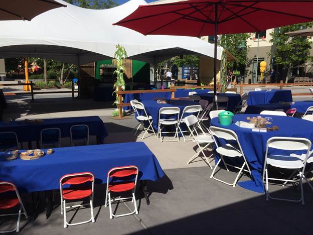 Tables, Chairs, Barrels, and Umbrellas